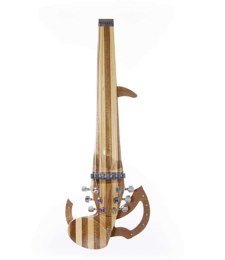 6 string electric violin