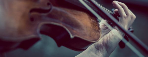 What are the differences between a violin and a viola?