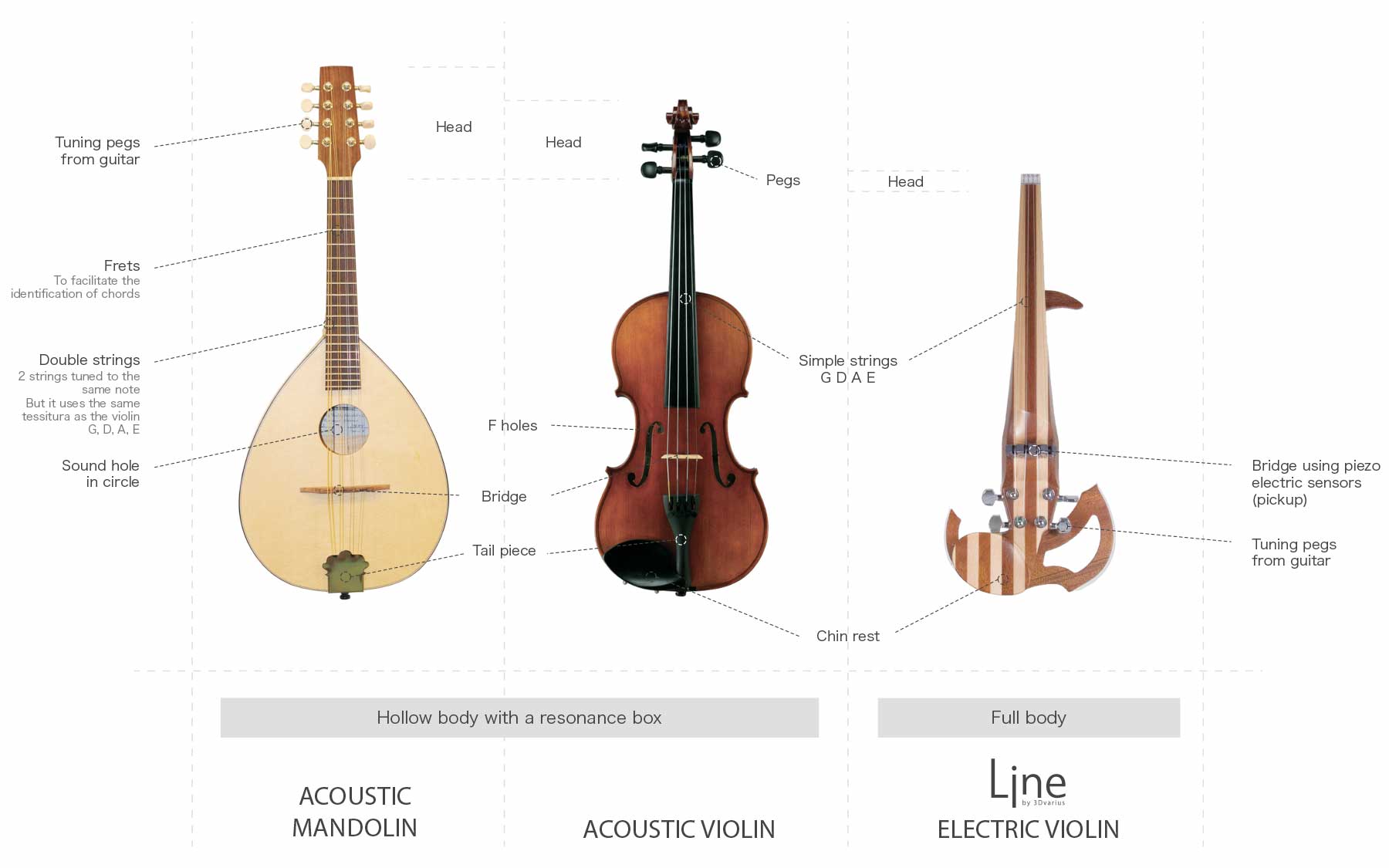 Differences and similarities between a violin and a mandolin