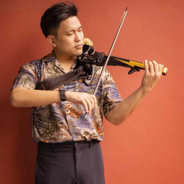 The Colored Line Electric violins by 3Dvarius