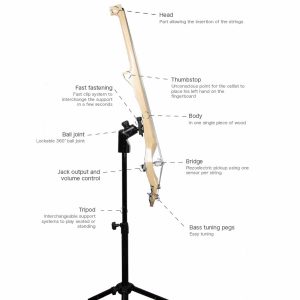 Plan of the Horizon cello