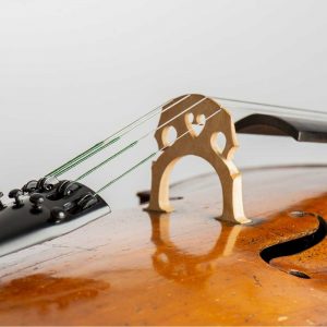 Cuerdas de la marca Prim instaladas sobre un violonchelo acústico