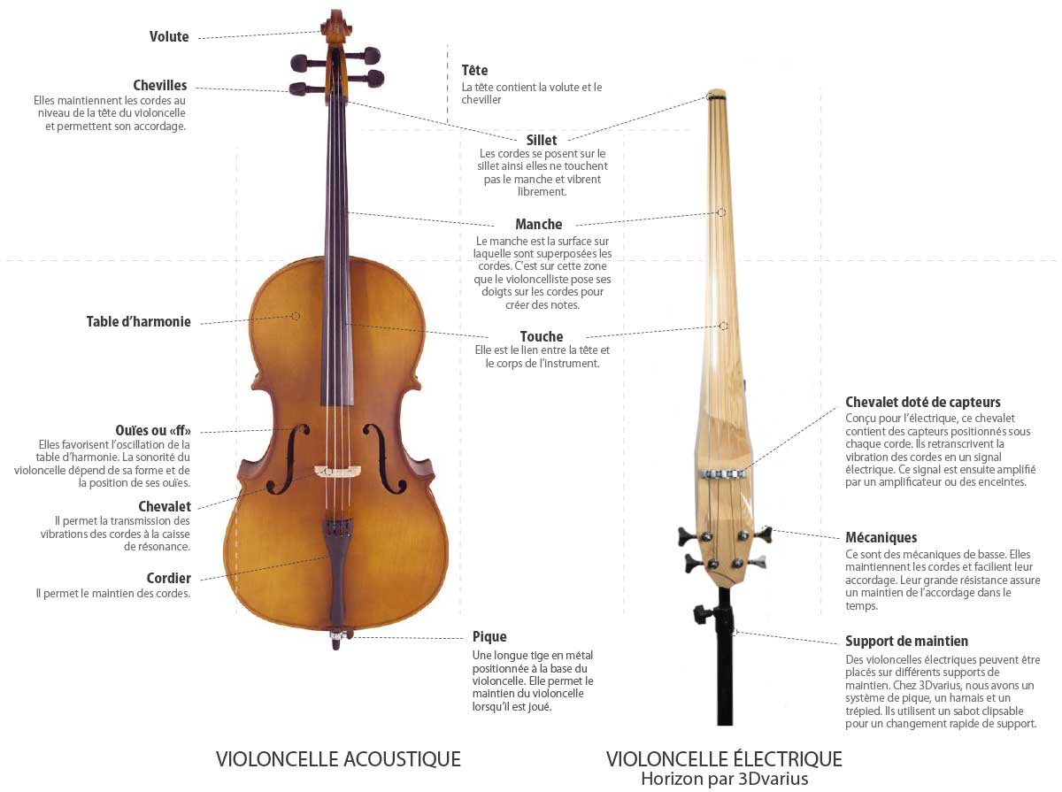 Différences entre un violoncelle acoustique et un violoncelle électrique